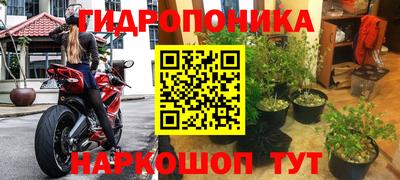 прущие крисы Пушкино
