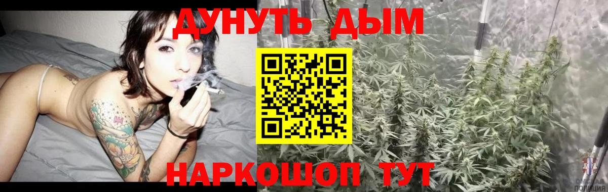 Бошки марихуана конопля Обь